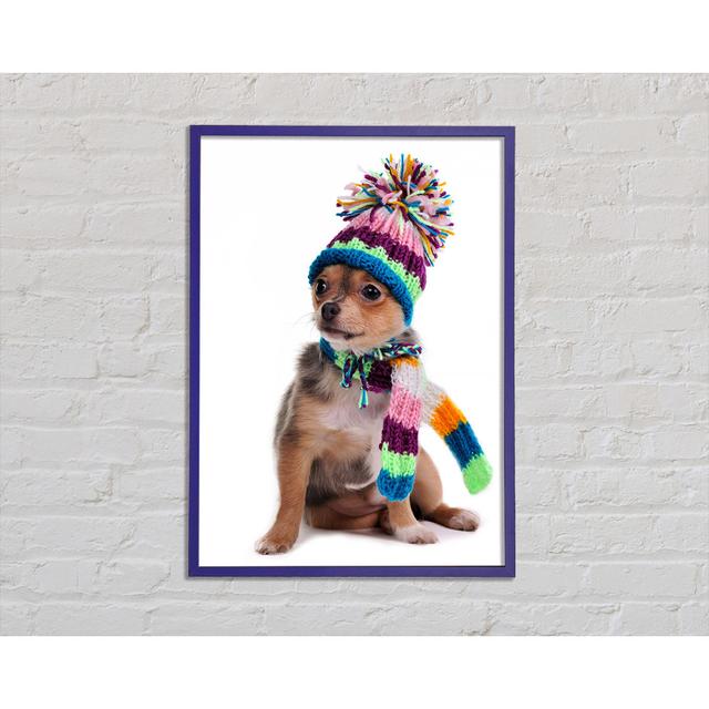 Chihuahua Dog Dressed For Winter Framed Print Happy Larry Size: 59.7cm H x 42cm W x 2cm D, Format: Purple Framed Paper on Productcaster.