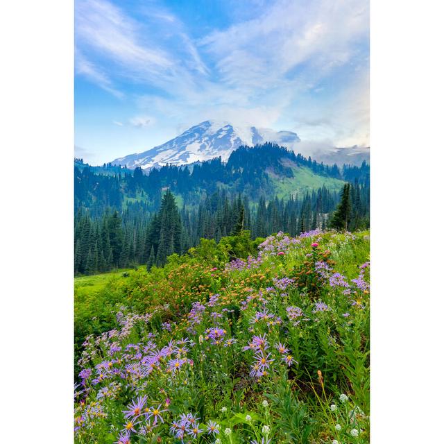 Summer Wildflowers Blooming - Wrapped Canvas Photograph Alpen Home Size: 46cm H x 30cm W on Productcaster.