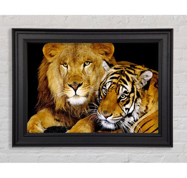 Lion Tiger Love Framed Print Ebern Designs Size: 42cm H x 59.7cm W on Productcaster.