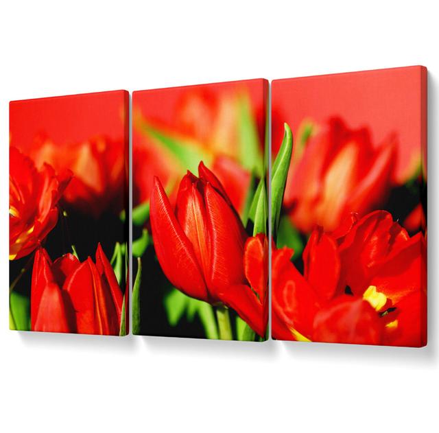 Tulips in Sunlight - 3 Piece Wrapped Canvas Graphic Art Ebern Designs Size: 101.6cm H x 203cm W on Productcaster.