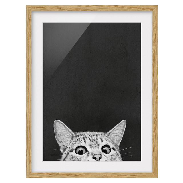 Illustration Cat Black White - Picture Frame Graphic Art Rosalind Wheeler Size: 55cm H x 40cm W x 2cm D, Frame Option: Brown Framed on Productcaster.