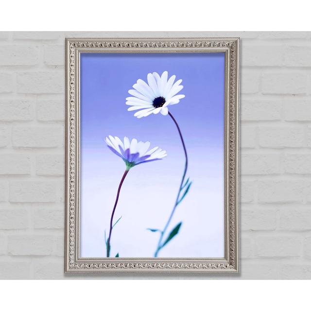 White Daisy Duo On Lilac Framed Print Ebern Designs Size: 29.7cm H x 42cm W on Productcaster.