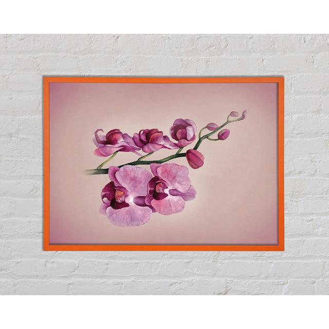 Assaf Pink Orchid - Einzelner Bilderrahmen Kunstdrucke Ophelia & Co. Größe: 42 cm H x 59,7 cm B x 2 cm T on Productcaster.