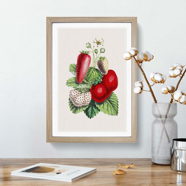 Wild Strawberry Illustration - Picture Frame Painting Print East Urban Home Frame Option: Oak Framed, Size: 65cm H x 48cm W x 2cm D on Productcaster.