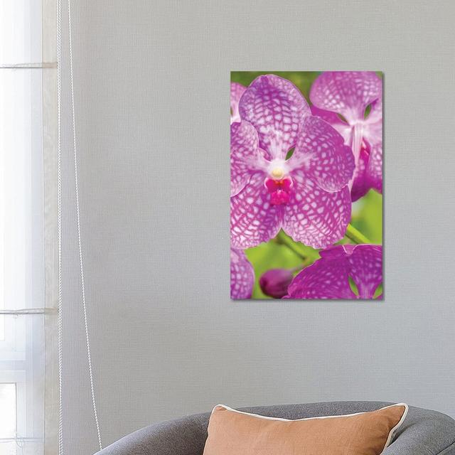 Garden by Panoramic Images - Wrapped Canvas Print Ebern Designs Format: Wrapped Canvas, Size: 26" H x 18" W on Productcaster.