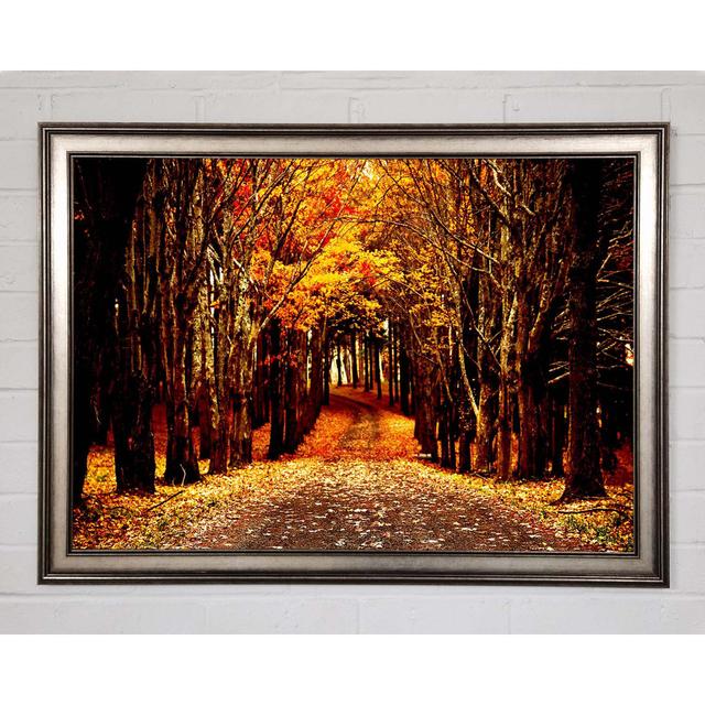 Late Autumn - Single Picture Frame Art Prints Union Rustic Size: 42cm H x 59.7cm W x 1.5cm D on Productcaster.