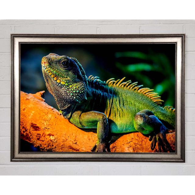 Gerahmtes Bild Iguana ModernMoments Größe: 84,1 cm H x 118,9 cm B x 1,5 cm T, Format: Poster mit metallgrauem Rahmen on Productcaster.