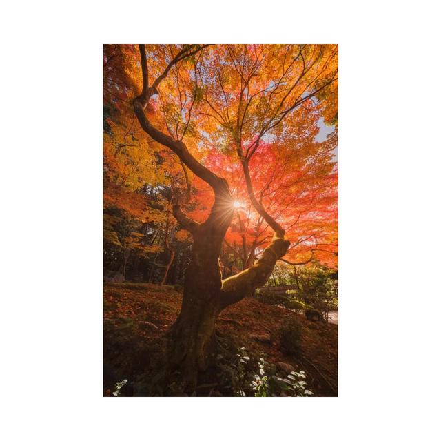 Autumn In Japan XXVIII by Daniel Kordan - Wrapped Canvas Print Latitude Run Size: 30.48cm H x 20.32cm W x 1.905cm D on Productcaster.