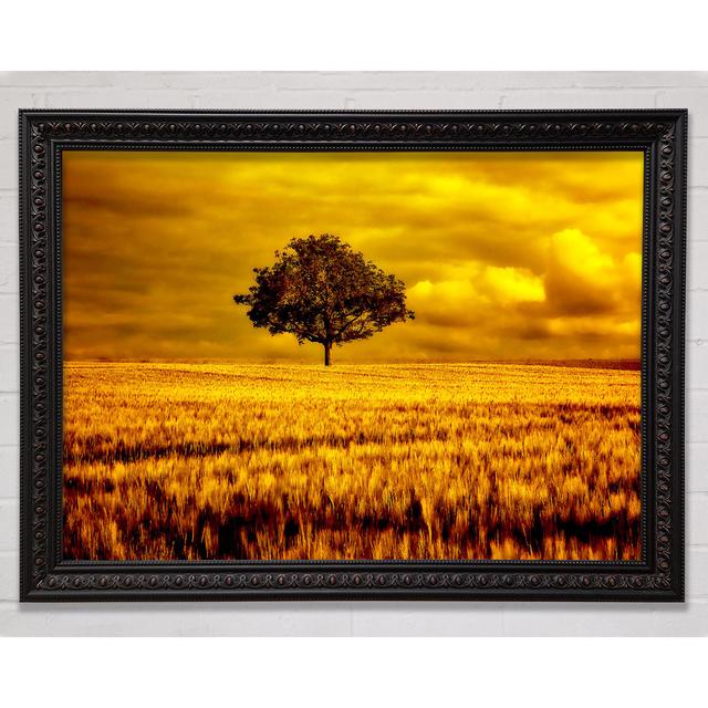 Silver - Single Picture Frame Art Prints Bright Star Size: 42cm H x 59.7cm W on Productcaster.