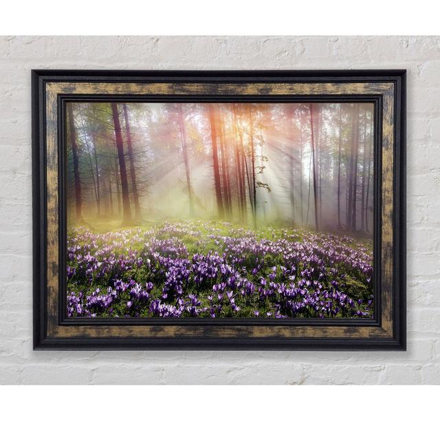 Sun Through The Bluebell Woodland - Single Picture Frame Art Prints Alpen Home Size: 100cm H x 141.4cm W on Productcaster.