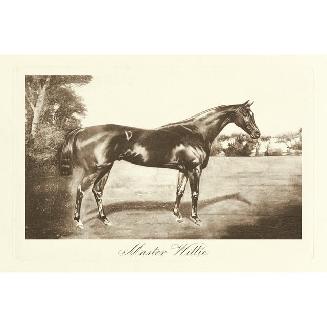 Master Willie - Wrapped Canvas Art Prints Gracie Oaks Size: 51cm H x 76cm W x 3.8cm D on Productcaster.