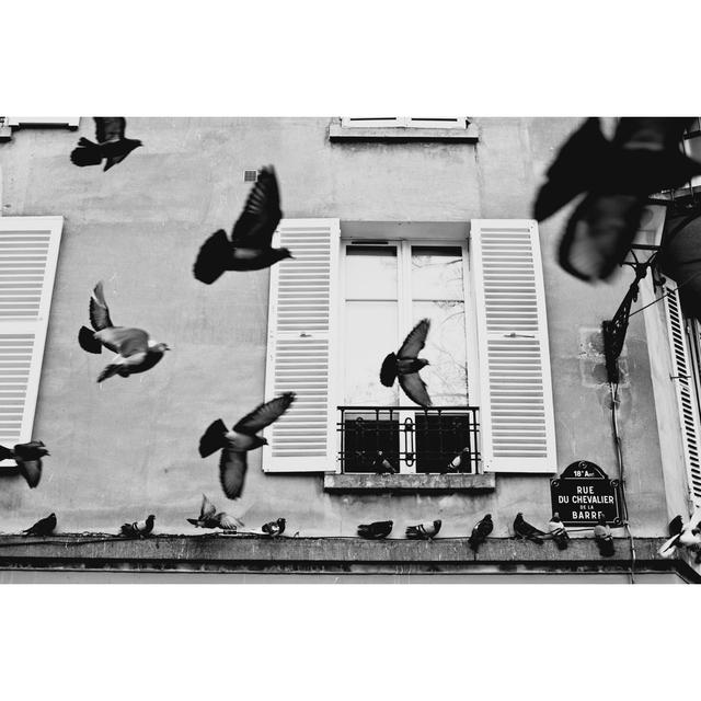 Pigeons by Zodebala - Wrapped Canvas Print 17 Stories Size: 61cm H x 91cm W x 3.8cm D on Productcaster.