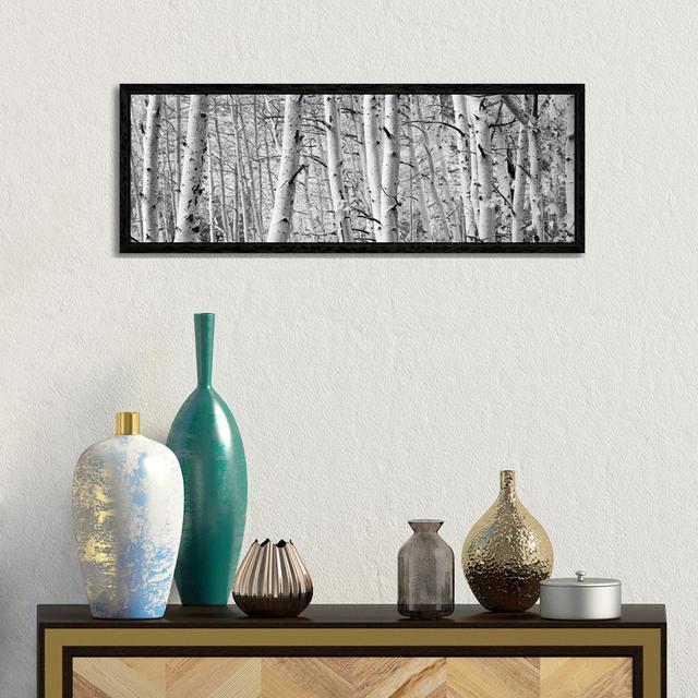 Aspen Trees In A Forest, Rock Creek Lake, California, USA by Panoramic Images - Gallery-Wrapped Canvas Giclée Union Rustic Frame Colour: Black, Size: on Productcaster.