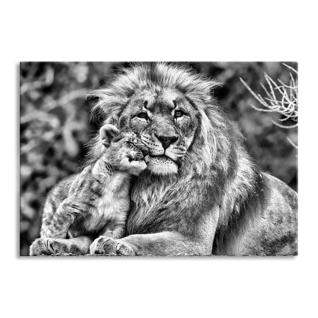 Beautiful Lion With Cub - No Frame Print on Glass 17 Stories Size: 60cm H x 80cm W x 0.4cm D on Productcaster.