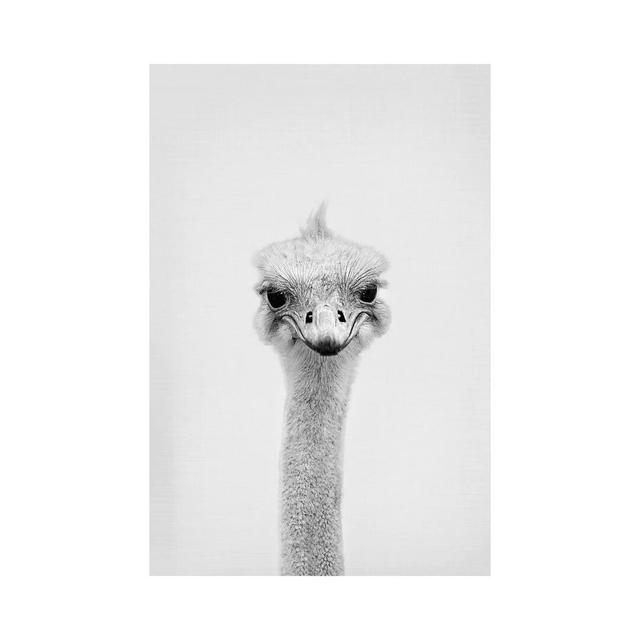 Ostrich by Sisi & Seb - Wrapped Canvas Print Latitude Run Size: 30.48cm H x 20.32cm W x 1.91cm D on Productcaster.