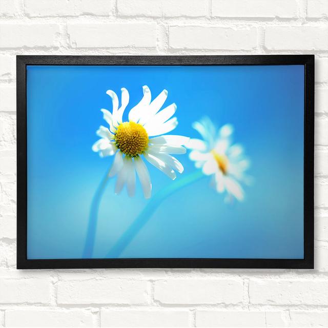 Duo Daisy Skies - Single Picture Frame Print Brayden Studio Format: Black Framed Canvas, Size: 59.7cm H x 84.1cm W x 3.3cm D on Productcaster.