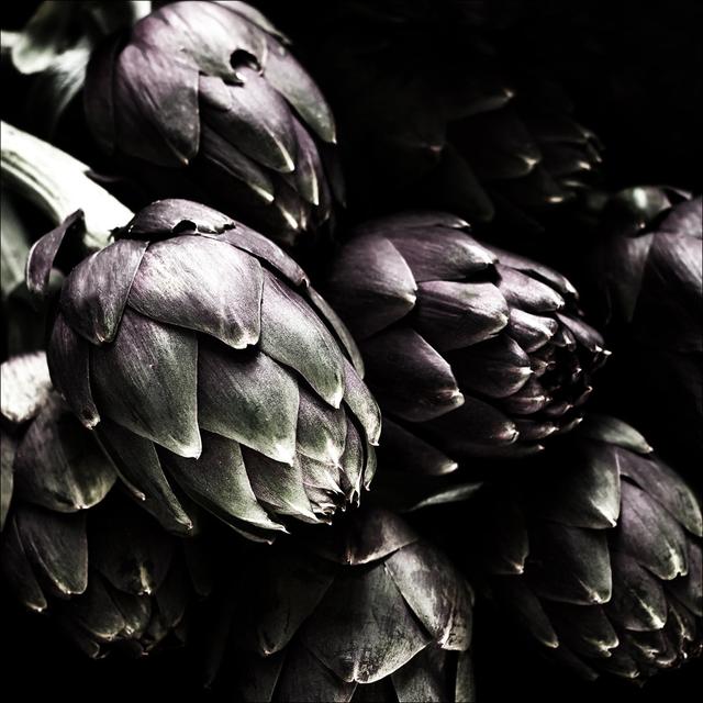 Artichoke I - No Frame Art Prints on Float Glass 17 Stories Size: 20cm H x 20cm W x 1.3cm D on Productcaster.