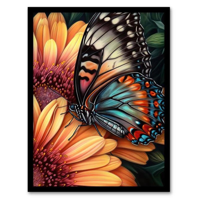 Alexandrino Butterfly On Daisy Flowers Pencil Spring Bloom Nature - Single Picture Frame Graphic Art Brambly Cottage on Productcaster.