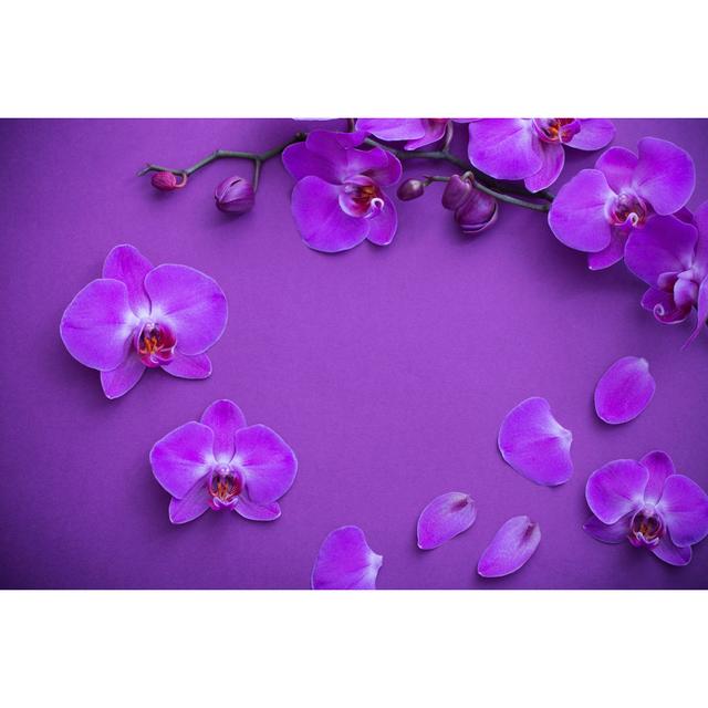 The Beautiful Orchid Flowers by Maya23K - Wrapped Canvas Print 17 Stories Size: 51cm H x 76cm W x 3.8cm D on Productcaster.