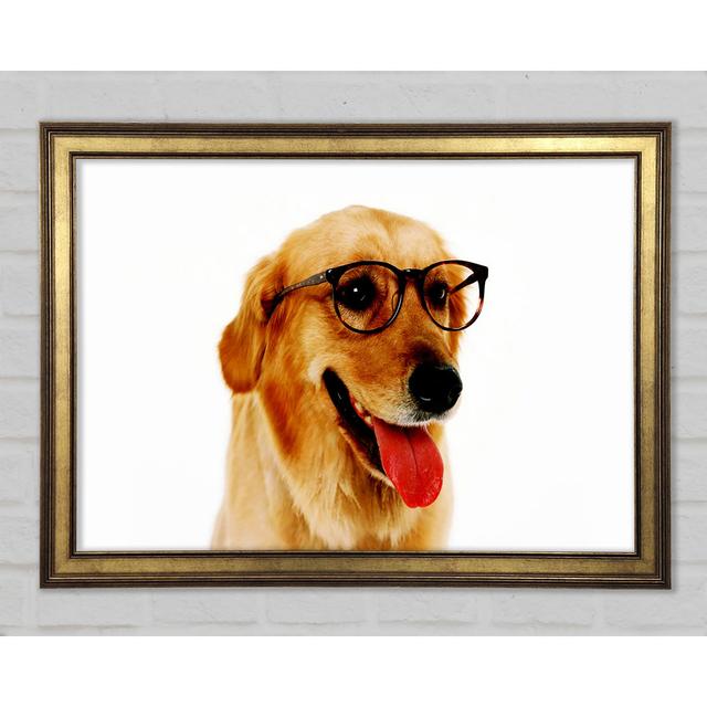 Golden Retriever Nerd - Single Picture Frame Art Prints Ebern Designs Size: 84.1cm H x 118.9cm W x 1.5cm D on Productcaster.