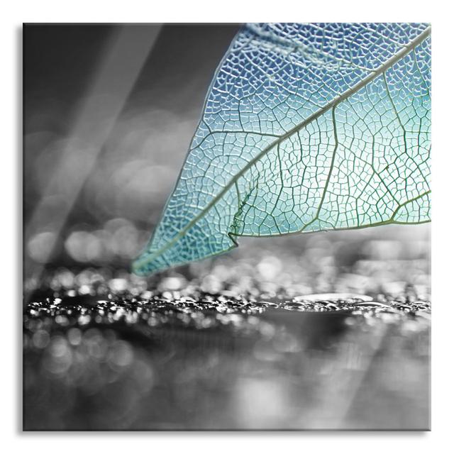 Glasbild Nahaufnahme eines weißen Blattrahmens im Regen Brayden Studio Größe: 60 cm H x 60 cm B x 0.4 cm T on Productcaster.