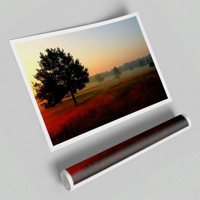 Autumn Sunrise Tree in the Mist - Photograph Print on Paper East Urban Home Size: 42 cm H x 59.4 cm W on Productcaster.