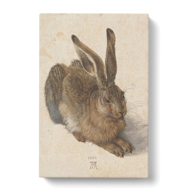 Hare by Albrecht Durer - Wrapped Canvas Painting East Urban Home Size: 50cm H x 35cm W x 3cm D on Productcaster.