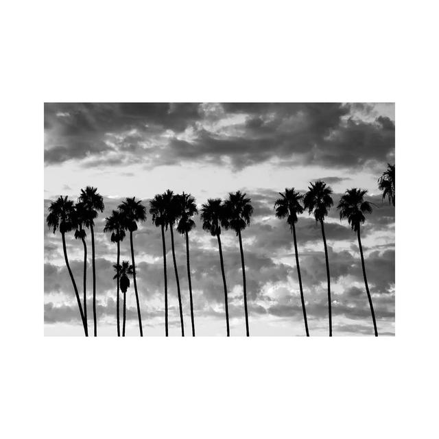 Palm Trees Against Cloudy Sky, Santa Barbara, California, USA - Wrapped Canvas Photograph Bay Isle Home Size: 66.04cm H x 101.6cm W x 1.91cm D on Productcaster.