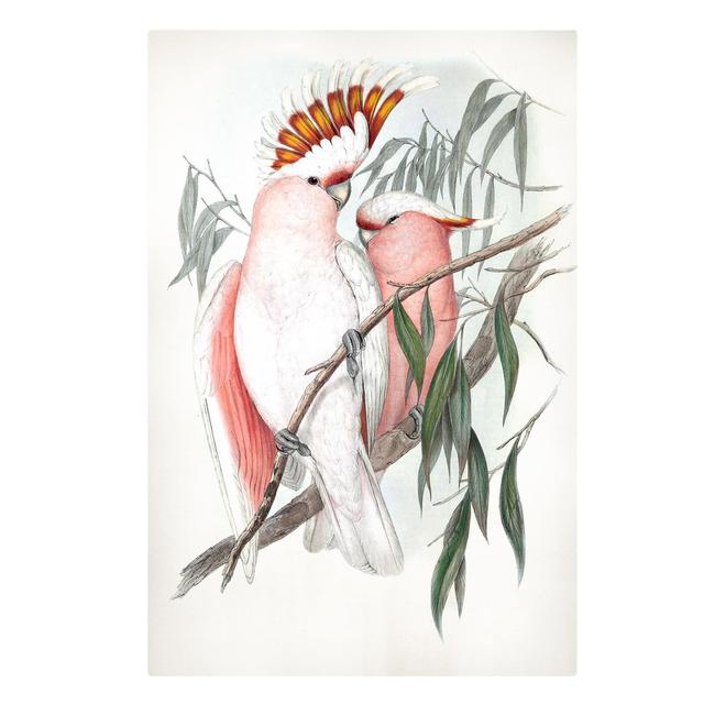 Pastel Parrots I - Wrapped Canvas Art Prints 17 Stories Size: 150cm H x 100cm W on Productcaster.