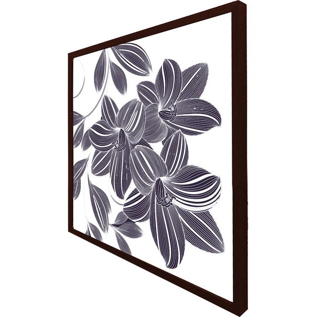 Tihiri Orchids - Single Picture Frame Print ClassicLiving Size: 51cm H x 51cm W x 4cm D, Format: Brown Framed on Productcaster.