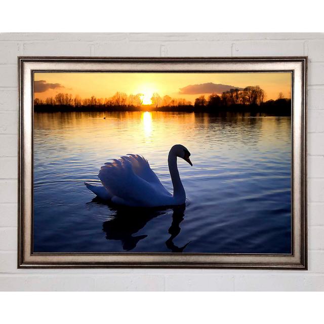 Lonely Swan Framed Print Latitude Run Size: 59.7cm H x 84.1cm W x 1.5cm D, Format: Matte Black Framed Paper on Productcaster.