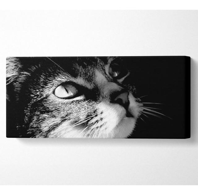 Cat Love Panoramic Canvas Ebern Designs Size: 81.3cm H x 183cm W on Productcaster.