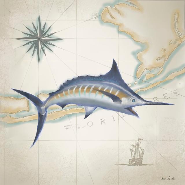 Sailfish Map I by Rick Novak - Wrapped Canvas Painting Highland Dunes Size: 30cm H x 30cm W on Productcaster.