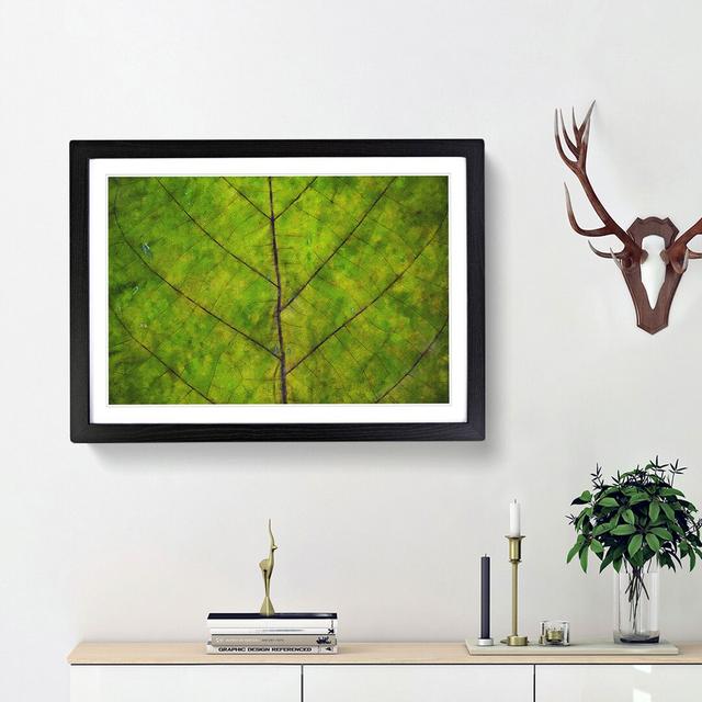 Lines of the Leaf - Picture Frame Graphic Art Print East Urban Home Size: 45cm H x 63cm W x 2cm D, Frame Option: Black Framed on Productcaster.