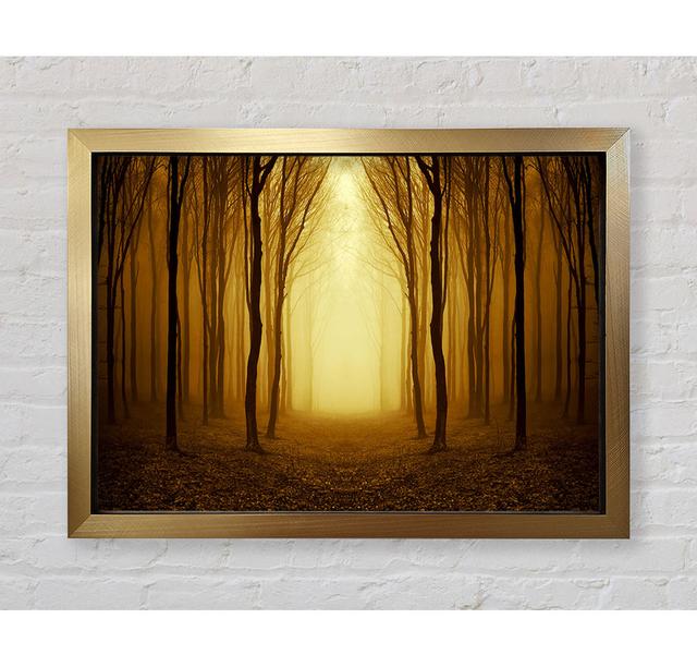 Through The Golden Path - Print Bright Star Size: 100cm H x 141.4cm W x 3.4cm D on Productcaster.