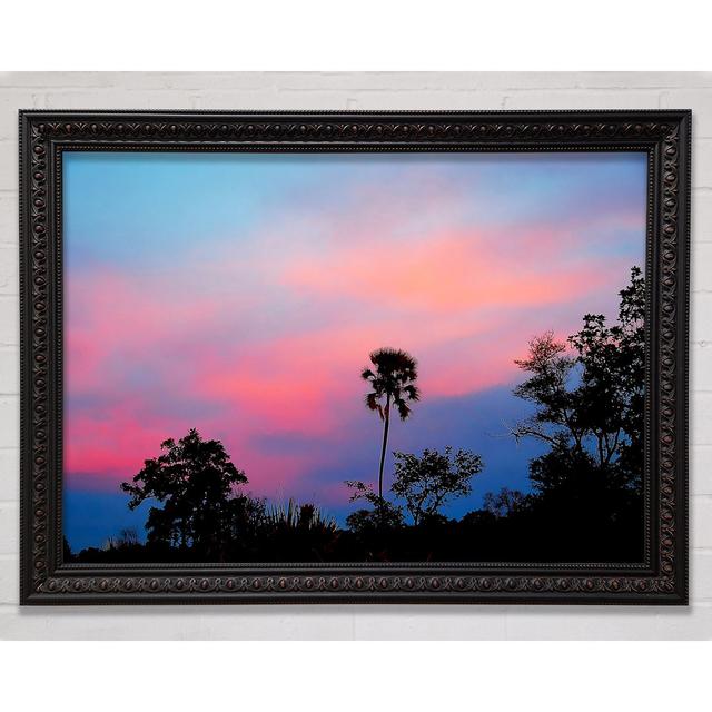 Tranquil Tree Tops - Single Picture Frame Art Prints Bright Star Size: 100cm H x 141.4cm W on Productcaster.