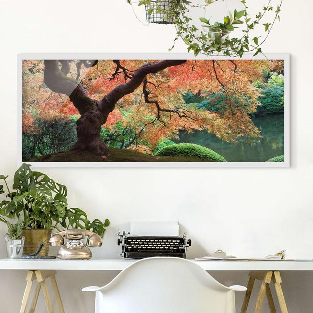 Japanese Garden - Picture Frame Photograph Union Rustic Frame Option: White Framed, Size: 30cm H x 75cm W x 2cm D on Productcaster.