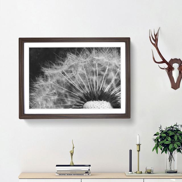 Dandelion Seed Sketch - Picture Frame Graphic Art Print East Urban Home Frame Option: Walnut Framed, Size: 33cm H x 45cm W x 2cm D on Productcaster.