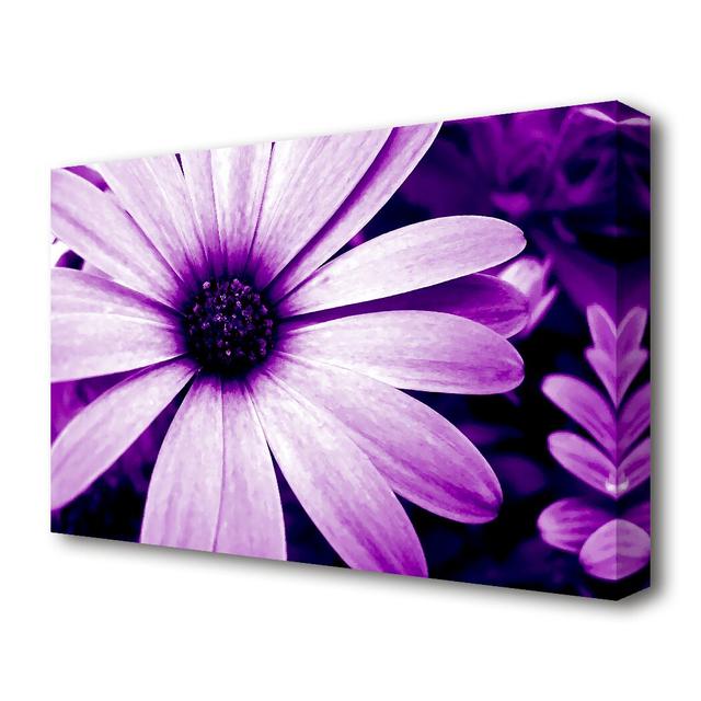 Purple Daisy Petals Flowers Canvas Print Wall Art East Urban Home Size: 81.3 cm H x 121.9 cm W on Productcaster.