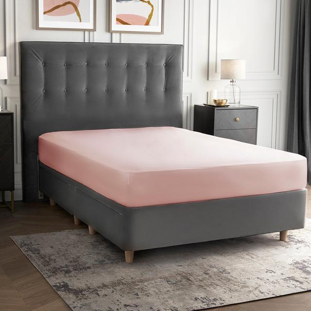 Silentnight Pure Cotton Fitted Sheet Silentnight Size: Single (3'), Colour: Blush on Productcaster.