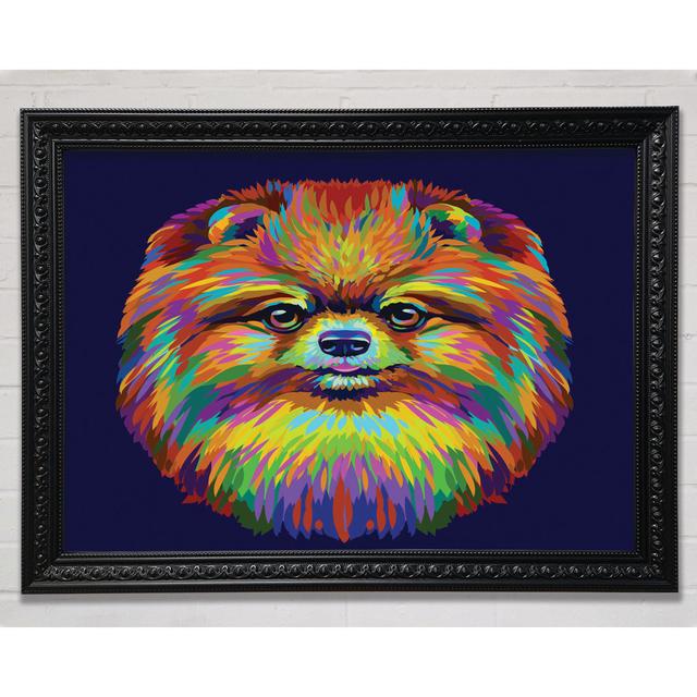 Big Fluffy Pomeranian Framed Print Bright Star Size: 59.7cm H x 84.1cm W on Productcaster.