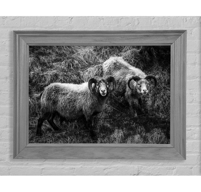 Ram Duo - Single Picture Frame Art Prints Union Rustic Size: 59.7cm H x 84.1cm W x 8cm D on Productcaster.