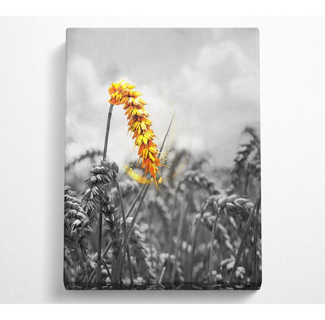 Black And White, Yellow Corn - No Frame Art Prints on Canvas Alpen Home Size: 81.3cm H x 50.8cm W on Productcaster.