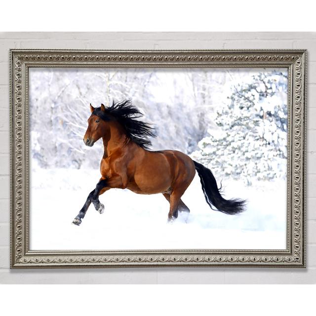 Racing Horse - Print Gracie Oaks Size: 21cm H x 29.7cm W x 3cm D, Format: Silver Framed Paper on Productcaster.