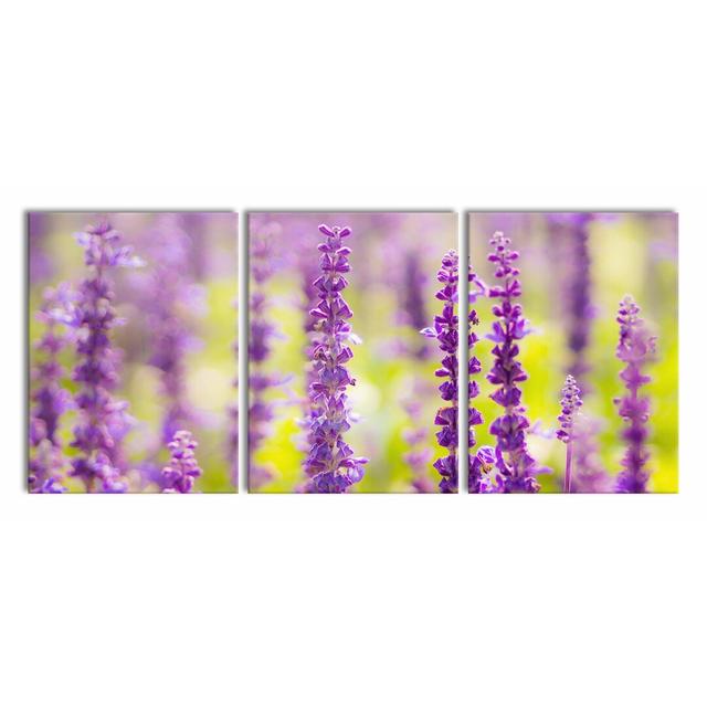 Schöne Violette Lavendelblüten - 3 Piece Wrapped Canvas Print East Urban Home Size: 80cm H x 180cm W on Productcaster.