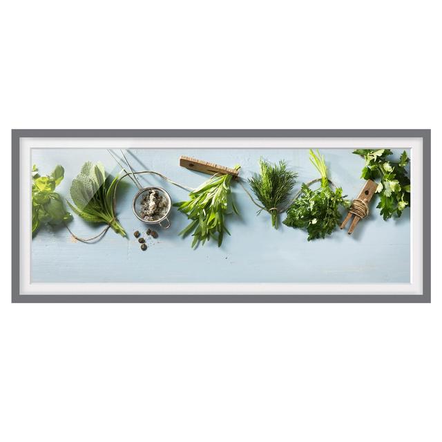 Bundled Herbs - Picture Frame Photograph August Grove Frame Option: Grey, Size: 40cm H x 100cm W x 2cm D on Productcaster.