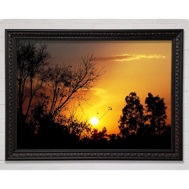 Sunset Skies Framed Print Bright Star Size: 84.1cm H x 118.9cm W x 3cm D on Productcaster.