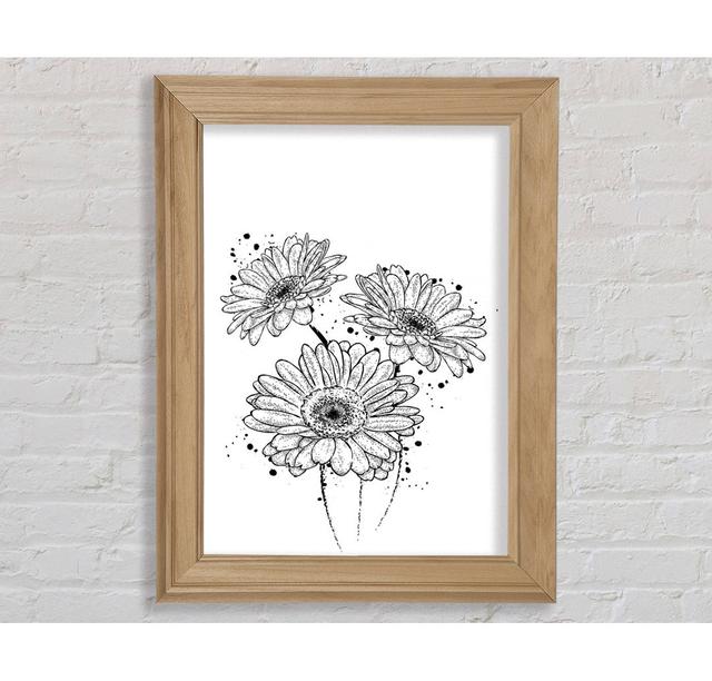 Black Daisy Splash - Print Ophelia & Co. Format: Natural Framed Paper, Size: 100cm H x 141.4cm W x 8cm on Productcaster.