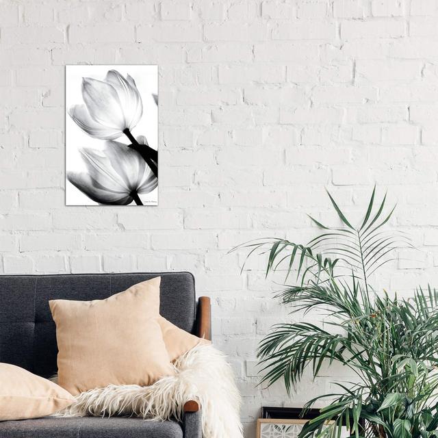 Translucent Tulips II by Debra Van Swearingen - Wrapped Canvas Print Latitude Run Size: 66.04cm H x 45.72cm W x 1.9cm D, Format: Wrapped Canvas on Productcaster.