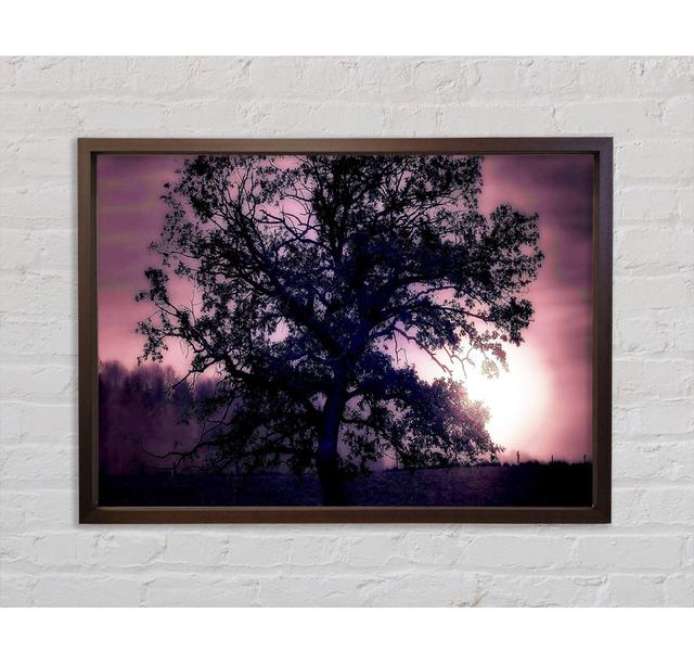 Tree Under Full Moon Framed Print Bright Star Size: 100cm H x 141.4cm W on Productcaster.